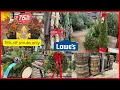 LOWES 75 OFF SHRUBS LIVE CHRISTMAS TREES SWAGS WREATHS LOGS BARRELS SHOP WITH ME LOWES