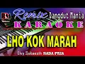 Download Lagu Lho Kok Marah - Dj Mix Dut Orgen Tunggal || Karaoke (Nada Pria) Elvy Sukaesih - RDM Official