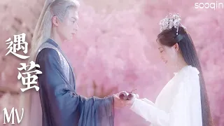  huo zun miss the dragon ost mv sub 