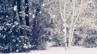 Noura Rahal Ahl Algharam Series Outro نورا رح ال ألا حبذا شارة مسلسل أهل الغرام 