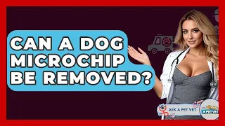 Can A Dog Microchip Be Removed - Ask A Pet Vet