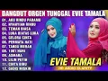 Download Lagu DANGDUT ORGEN TUNGGAL ALBUM EVIE TAMALA | ALBUM DANGDUT ORIGINAL TERBARU AUDIO CLARITY