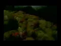 Crazy Town - Butterfly Official Music Video