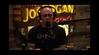 Joe Rogan talks about Norm Macdonald defending Shane Gillis during SNL firing