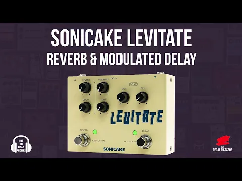 Sonicake Levitate Delay + Reverb | Delicious Audio