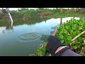 Download Lagu Gak nyangka! Mancing di parit malah dapat ikan liar babon-babon