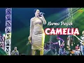 Download Lagu Om Adella Nurma Paejah- Camelia - Live Pasuruan
