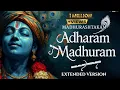 Download Lagu Adharam Madhuram Lofi Krishna Bhajan Bhakti Song Bhajan Song  Madhurashtakam