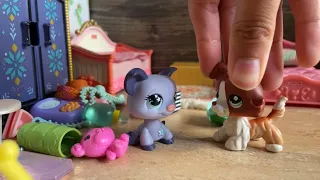 LPS | LA OBSESIÓN DE MI AMIGA😨🙀
