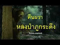 Download Lagu คืนผวา หลงป่าภูกระดึง