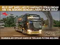Lagu Rilisan baru lagi PO Haryanto‼️HM 196 reborn dengan livery black gold
