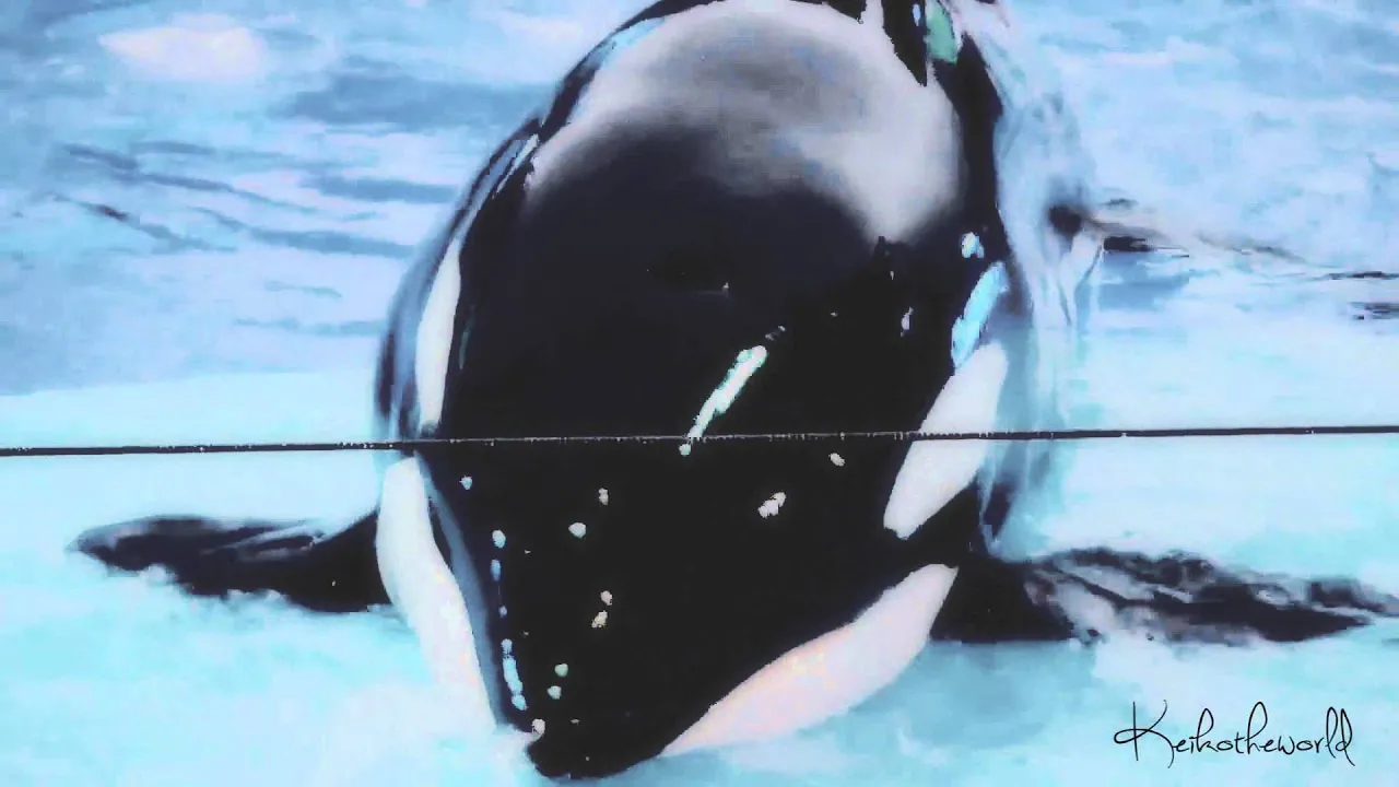 TMWYKAL Challenge | M a l i a