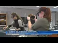 Marijuana Major prepares students for careers in cannabis