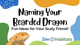 Naming Your Bearded Dragon Fun Ideas for Your Scaly Friend