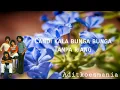 Download Lagu Koes Plus - Melati Biru (Video Lirik)