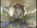 The Warthog WGR Magnum in the Pipe - Field