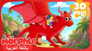 Morphle Arabic | كرتون مورفل بالعربي | ميلا ومورفل في مغامرة القراصنة والبحث عن الكنز! 🏴‍☠️⚓
