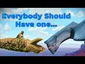 How To Get Free Ships And Eggs On Discord Fast