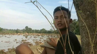 Download DESPACITO Tukang Bebek Gagal - Film Pendek MP3