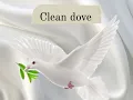 CLEANDOVE  (no role modelz- J.Cole) CLEAN