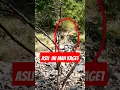Download Lagu Wujud manusia kerdil dari hutan😱 #shorts