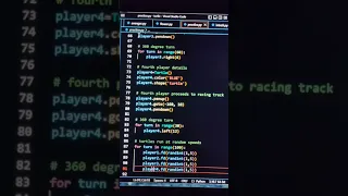 Create racing game using turtle in python VS code