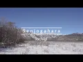 Snow Hiking in Nikko Senjogahara – Must see spot in Winter【栃木･戦場ヶ原】
