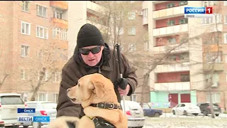 Сегодня международный день слепых