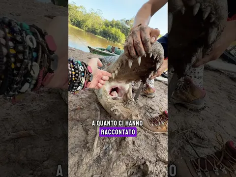 Convivere col CAIMANO NERO
