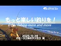 Download Lagu 【北海道・釣行log】もっと楽しい釣りを！Enjoy fishing more and more /2025/9/28　オホーツク海のサケ釣り 編　#サケ #投げ釣り #砂浜