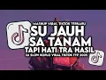 Download Lagu DJ SU JAUH SA TANAM HATI TAPI TRA HASIL VIRAL TIKTOK SLOW FULL SONG MAMAN FVNDY 2025