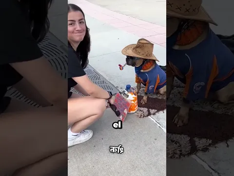Sin DINERO No Hay SALUDO Para Este Perrito 😭🐶