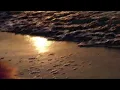 catching flies - daymarks (slowed)