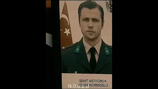 وداعا يافوز 