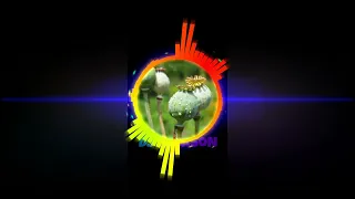 Teryak من نصر من الله قدرت تریاک ریمیکس محلی Remix ریمیکس ریمیکس لری 