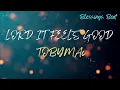 Lord it feels good @tobymacmusic [LYRICS]