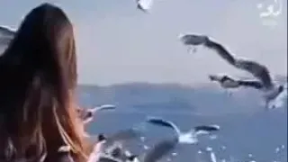 بكره تشوف يا ناكر خيرى 