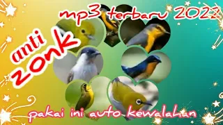 mp3 1000 ampuh buat pikat burung kecil sekali putar nikmati dan rasakan hasilnya