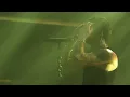 While She Sleeps - To The Flowers LIVE @ Rock im Ring Festival 2024