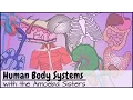 Download Lagu Human Body Systems Functions Overview: The 11 Champions (Older Video 2016)