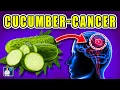 Download Lagu Jangan Pernah Makan Timun dengan Ini🥒 Sebabkan Kanker dan Demensia! 3 Resep Makanan Terbaik \u0026 Terburuk! Dr.John
