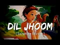 Dil Jhoom (Slowed + Reverb) | Vishal Mishra, Shreya Ghoshal |Arjit Singh | Gadar 2 | Afterhour Music