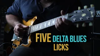 Download 5 'Delta Blues' Licks | Delta Blues guitar Lesson MP3