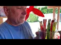 Download Lagu Alcohol Pops Being Served at Grand ReOpening of Cantiki