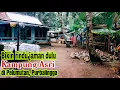 Download Lagu Melihat suasana di pedesaan || Suasana Asri di Desa Pelumutan, Kemangkon, Purbalingga.