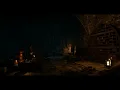 Aen Seidhe - Wild Hunt-The Witcher III -