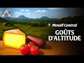 Download Lagu Secrets du Massif Central : Entre volcans, lentilles et fromages d'altitude | Trésors du Patrimoine