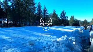 Mount Laguna Snow - 2020