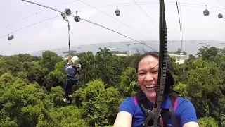 Mega Zip Singapore