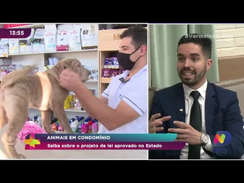 Animais em condomínio: saiba sobre o projeto de lei aprovado em SC